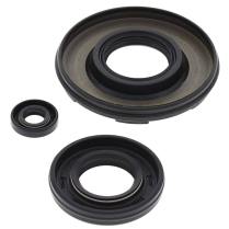 ENGINE OIL SEAL KIT