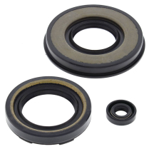 ENGINE OIL SEAL KIT