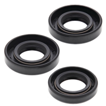 ENGINE OIL SEAL KIT