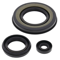 ENGINE OIL SEAL KIT