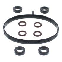 FUEL INJECTOR AND THROTTLE BODY O-RING KIT