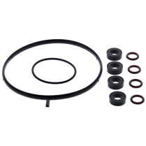 FUEL INJECTOR AND THROTTLE BODY O-RING KIT