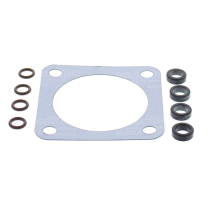 FUEL INJECTOR AND THROTTLE BODY O-RING KIT