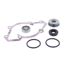 WATER PUMP REBUILD KIT