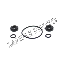 FUEL INJECTOR AND THROTTLE BODY O-RING KIT