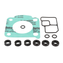 FUEL INJECTOR AND THROTTLE BODY O-RING KIT