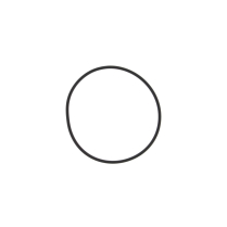O-RING