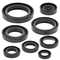 ENGINE OIL SEAL KIT