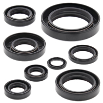 ENGINE OIL SEAL KIT