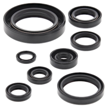 ENGINE OIL SEAL KIT