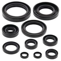 ENGINE OIL SEAL KIT