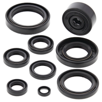 ENGINE OIL SEAL KIT