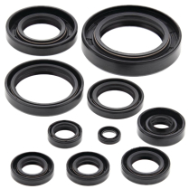 ENGINE OIL SEAL KIT