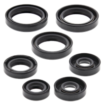 ENGINE OIL SEAL KIT