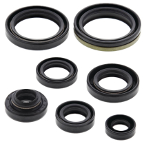 ENGINE OIL SEAL KIT