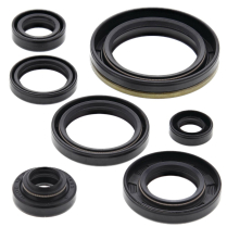 ENGINE OIL SEAL KIT