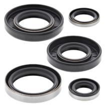 ENGINE OIL SEAL KIT