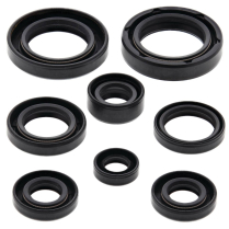 ENGINE OIL SEAL KIT