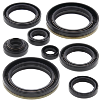 ENGINE OIL SEAL KIT