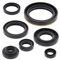 ENGINE OIL SEAL KIT
