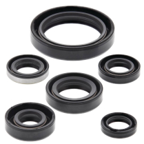 ENGINE OIL SEAL KIT