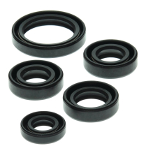 ENGINE OIL SEAL KIT
