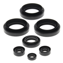 ENGINE OIL SEAL KIT