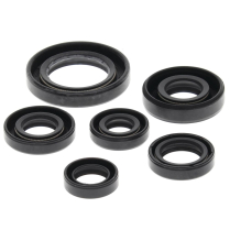 ENGINE OIL SEAL KIT