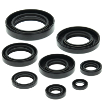 ENGINE OIL SEAL KIT