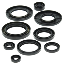 ENGINE OIL SEAL KIT