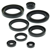 ENGINE OIL SEAL KIT