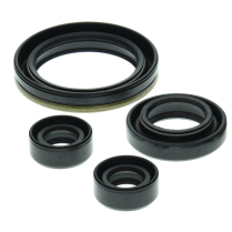 ENGINE OIL SEAL KIT