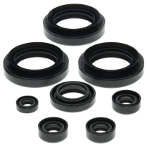 ENGINE OIL SEAL KIT