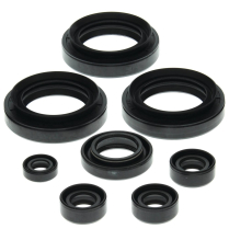 ENGINE OIL SEAL KIT