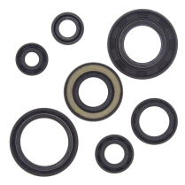 ENGINE OIL SEAL KIT