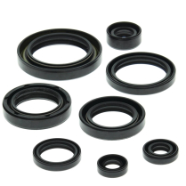 ENGINE OIL SEAL KIT