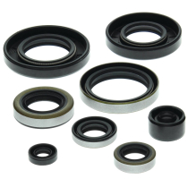 ENGINE OIL SEAL KIT