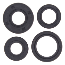 ENGINE OIL SEAL KIT