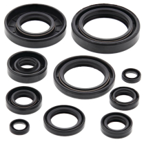 ENGINE OIL SEAL KIT