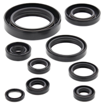 ENGINE OIL SEAL KIT
