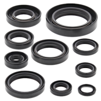 ENGINE OIL SEAL KIT