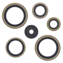 ENGINE OIL SEAL KIT