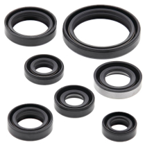 ENGINE OIL SEAL KIT