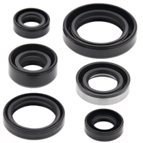 ENGINE OIL SEAL KIT
