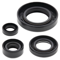 ENGINE OIL SEAL KIT