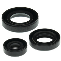 ENGINE OIL SEAL KIT