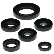 ENGINE OIL SEAL KIT