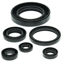 ENGINE OIL SEAL KIT