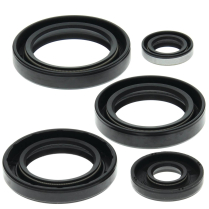ENGINE OIL SEAL KIT
