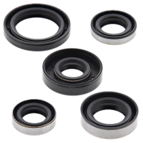 ENGINE OIL SEAL KIT